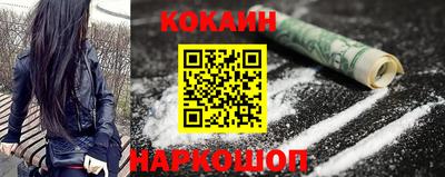 крисы Новокубанск