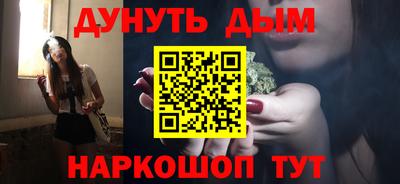 крисы Новокубанск