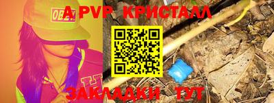 крисы Новокубанск