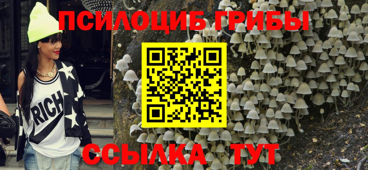 Галлюциногенные грибы Psilocybe  Вход с VPN  Светлоград  Псилоцибиновые грибы MAGIC MUSHROOMS 